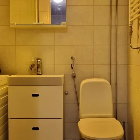 Beautiful Two-room In アパート ラハティ